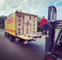 Versandfertige fexobox-Kartons auf dem Hof, bereit für die tägliche DHL-Abholung